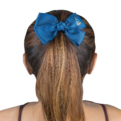 Accessoires pour cheveux Serdaigle - Classique Accessoires pour cheveux Serdaigle - Classique