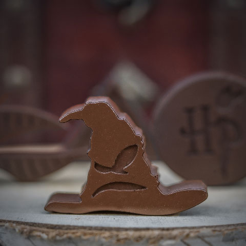 Moule à chocolats et glaçons - Logo Harry Potter Moule à chocolats et glaçons - Logo Harry Potter