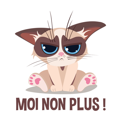 Bébé chat grumpy - Moi non plus Bébé chat grumpy - Moi non plus