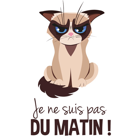 Chat grumpy - Je ne suis pas du matin Chat grumpy - Je ne suis pas du matin
