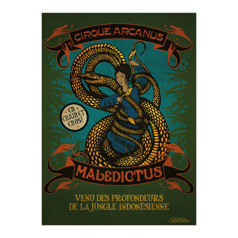 Poster Maledictus Poster Maledictus