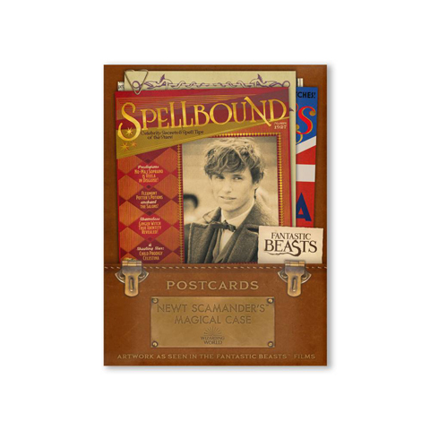 Lot de 20 cartes postales - Newt Scamander’s Magical Case Lot de 20 cartes postales - Newt Scamander’s Magical Case