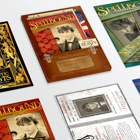 Lot de 20 cartes postales - Newt Scamander’s Magical Case Lot de 20 cartes postales - Newt Scamander’s Magical Case