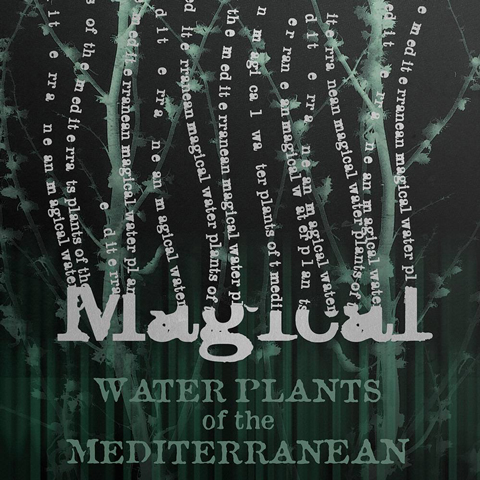 Carte 2 volets Water Plants Carte 2 volets Water Plants