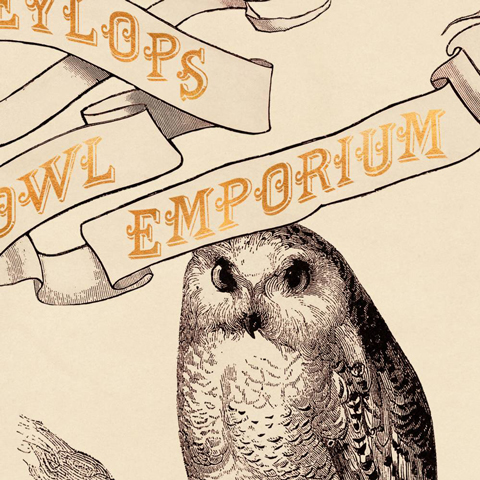 Poster - Eeylops Owl Emporium Poster - Eeylops Owl Emporium