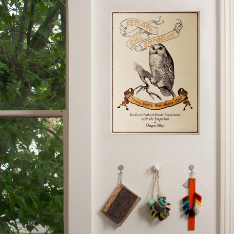 Poster - Eeylops Owl Emporium Poster - Eeylops Owl Emporium