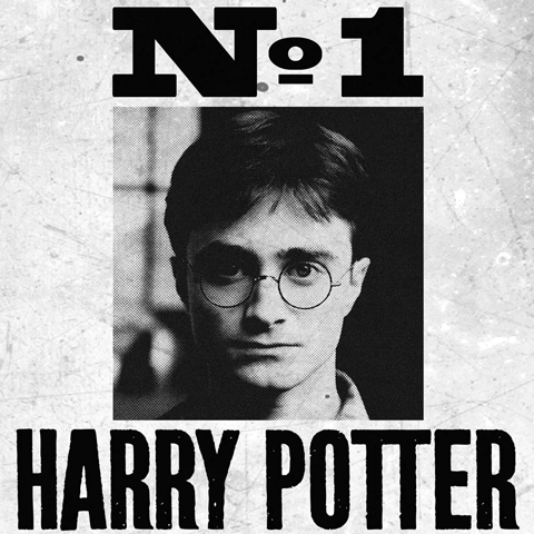 Poster - Undesirable No.1 Harry Potter Poster - Undesirable No.1 Harry Potter