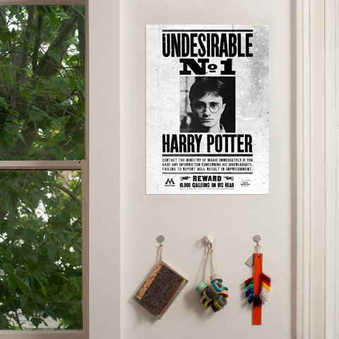 Poster - Undesirable No.1 Harry Potter Poster - Undesirable No.1 Harry Potter
