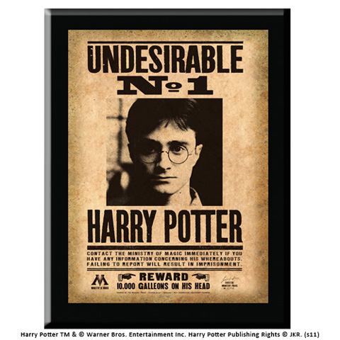 Plaque Undesirable N°1 Harry Potter Plaque Undesirable N°1 Harry Potter