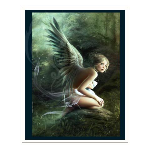 Puzzle Classique - Forest - Mélanie Delon - 1000 pièces Puzzle Classique - Forest - Mélanie Delon - 1000 pièces