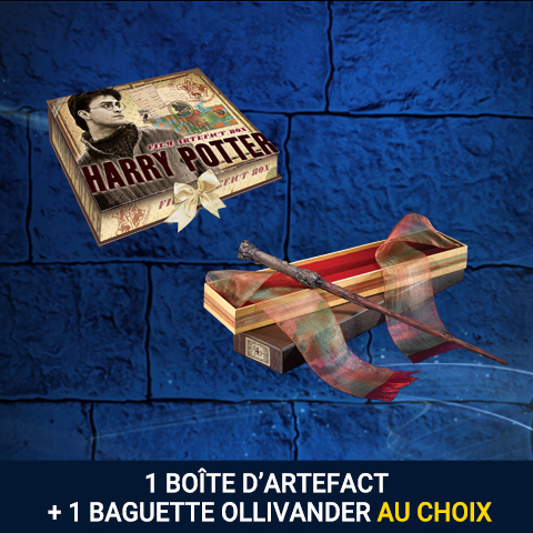 Pack boite d’artefact + baguette Ollivander Pack boite d’artefact + baguette Ollivander