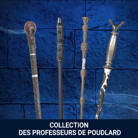 Collection Professeurs de Poudlard Collection Professeurs de Poudlard